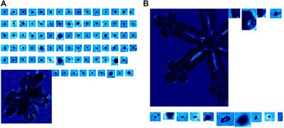 Response of Mixed-Phase Cloud Microphysical Properties to Cloud-Seeding Near Cloud Top Over Hebei, China